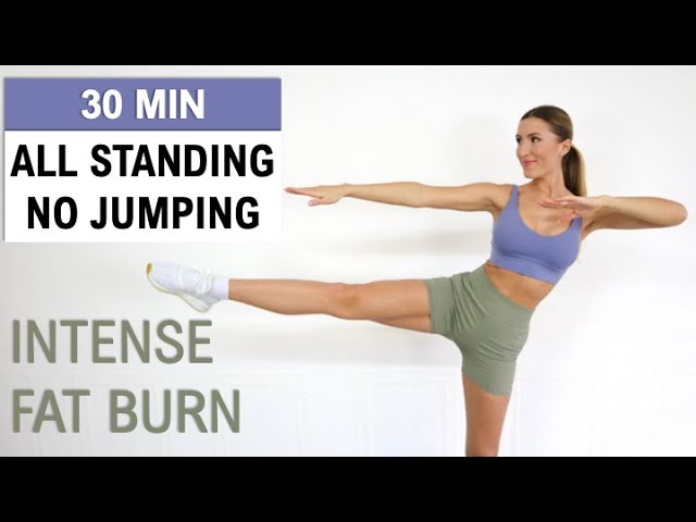 30 Min All Standing No Jumping : Fat Burning Hiit : Super Fun & Sweaty Burn 350 Calories No Repeat